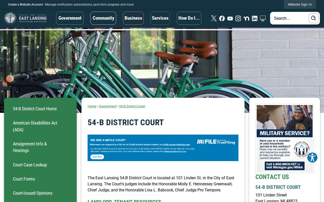 Ingham County criminal court case inquiry for 54-B District Court